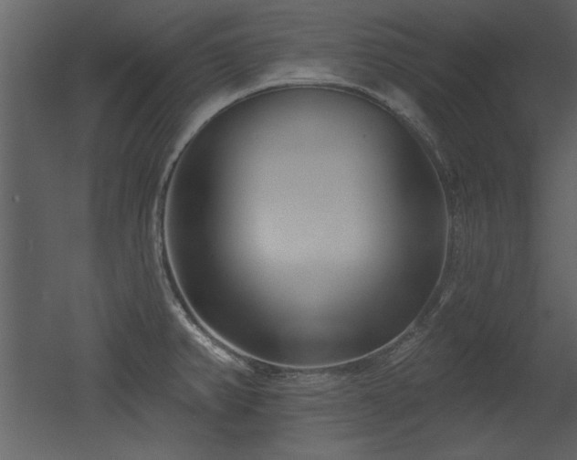X0000052981382200507081111
