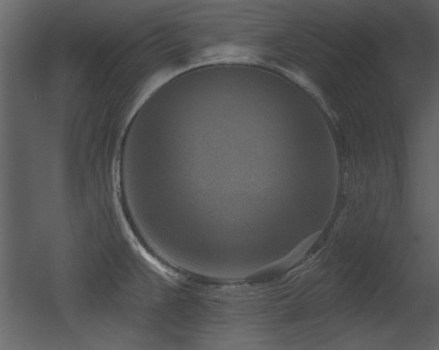 X0000052981383200507081111
