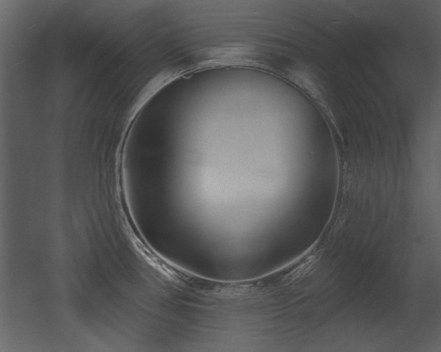 X0000052981386200507081111