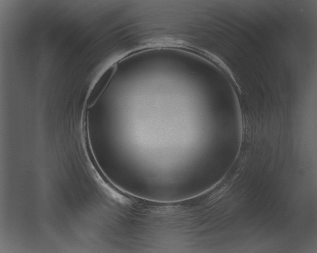 X0000052981387200507081111