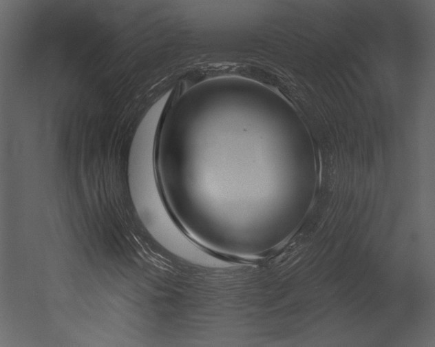 X0000052981394200507081110