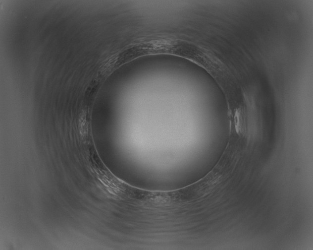 X0000052981395200507081110