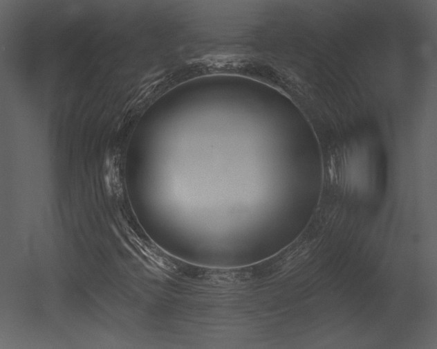 X0000052981396200507081110