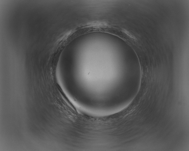 X0000052981398200507081110