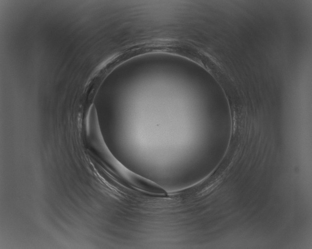 X0000052981402200507081110