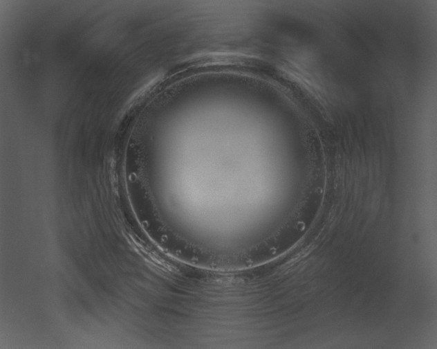 X0000052981403200507081110