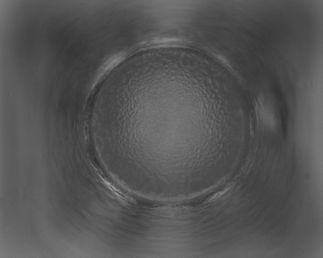 X0000052981405200507081110