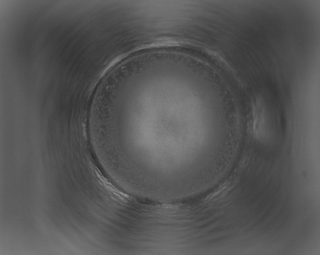 X0000052981409200507081110