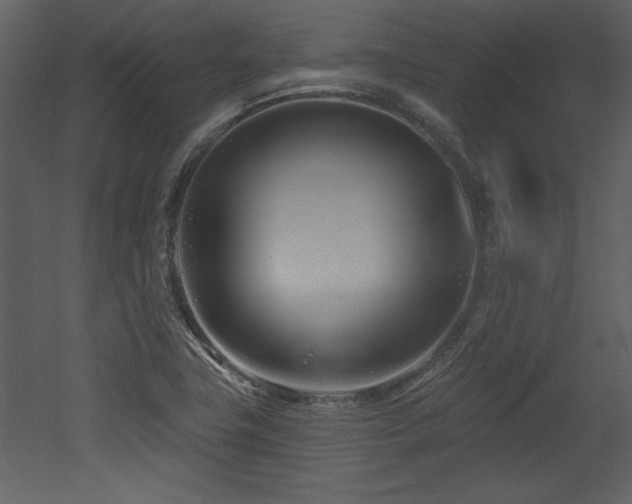 X0000052981411200507081110