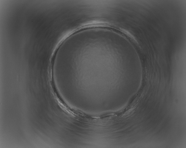 X0000052981413200507081111