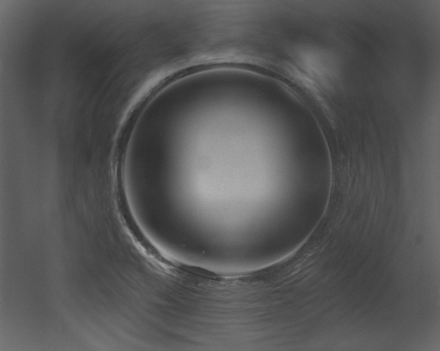 X0000052981416200507081111