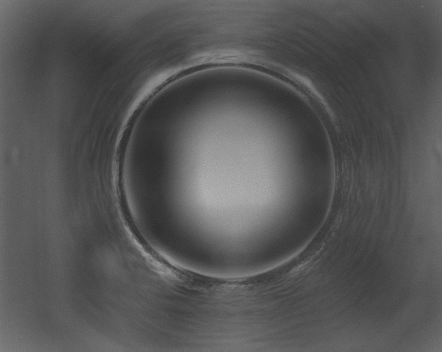 X0000052981424200507081111