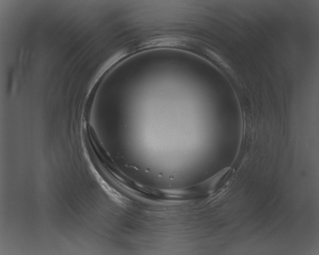 X0000052981426200507081111