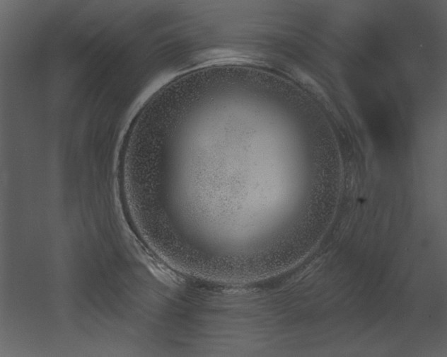 X0000052981427200507081111