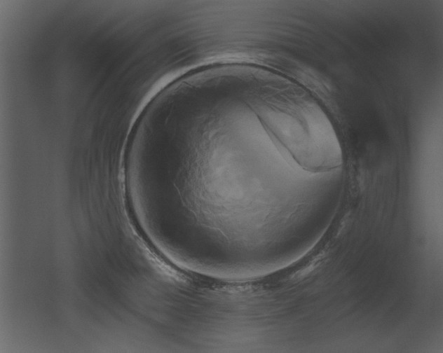 X0000052981428200507081111