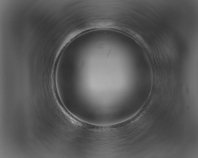 X0000052981432200507081111