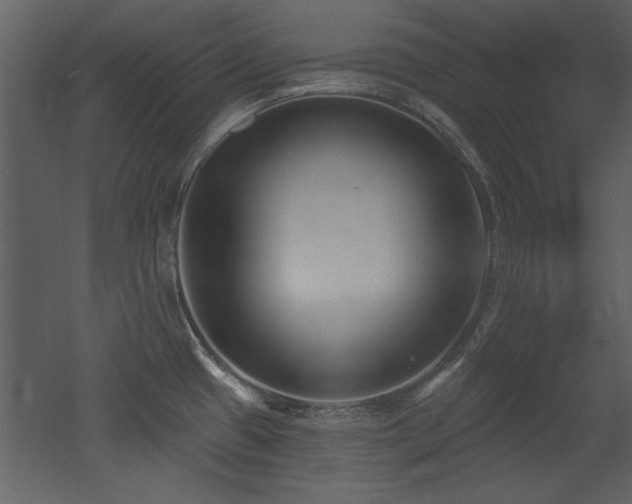 X0000052981433200507081111