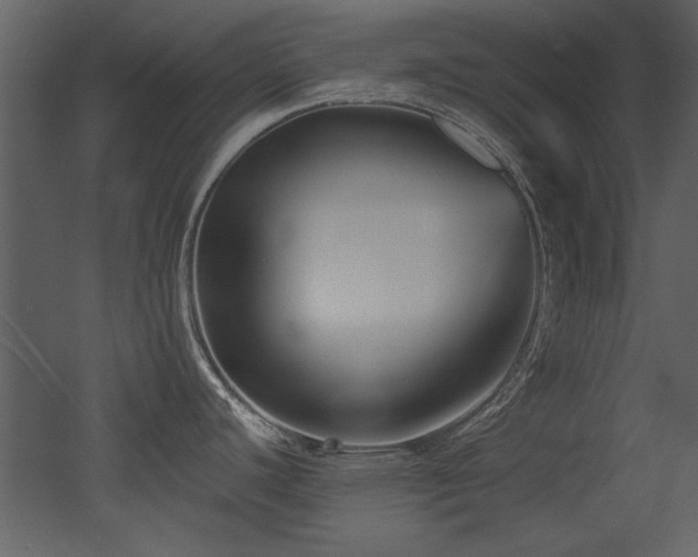 X0000052981440200507081111