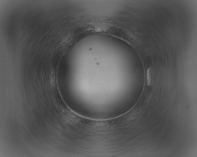 X0000052981443200507081110