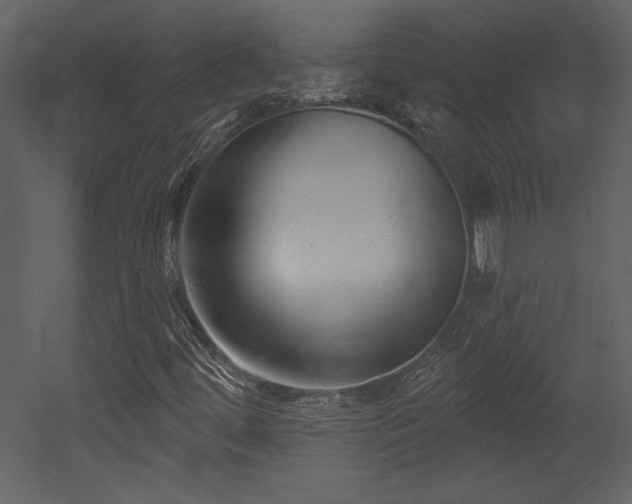 X0000052981444200507081110