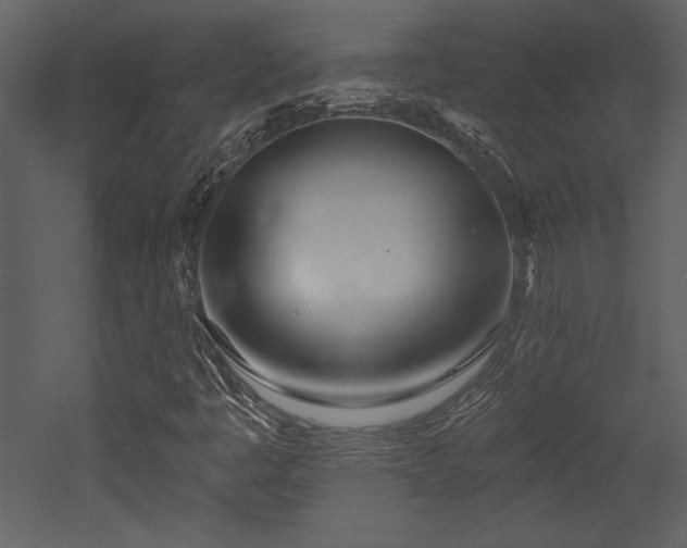 X0000052981445200507081110