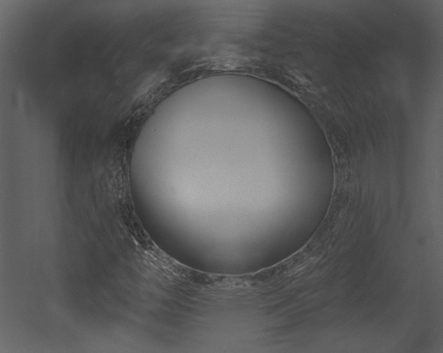 X0000052981446200507081110