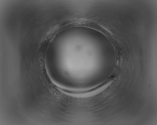 X0000052981447200507081110