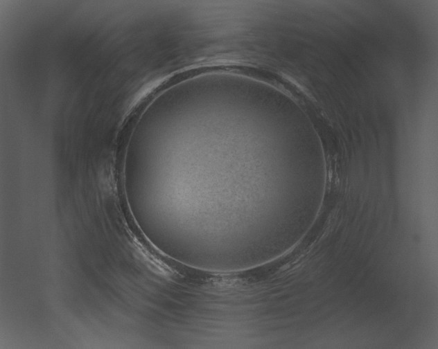 X0000052981452200507081110