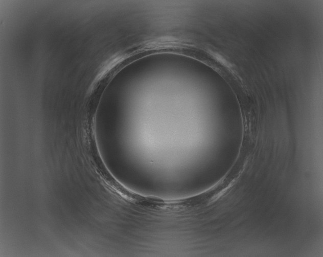 X0000052981453200507081110