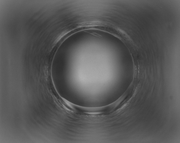 X0000052981457200507081110