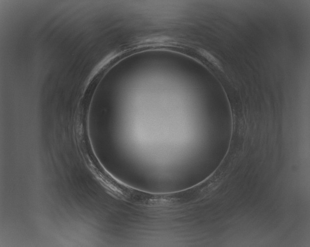 X0000052981458200507081110
