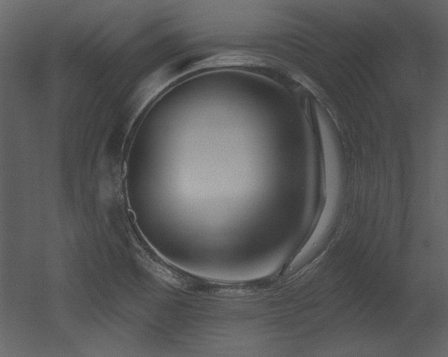 X0000052981465200507081110