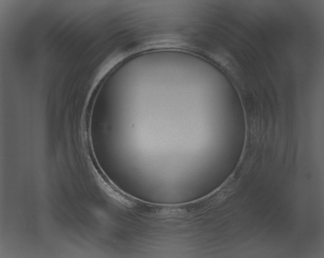 X0000052981466200507081110