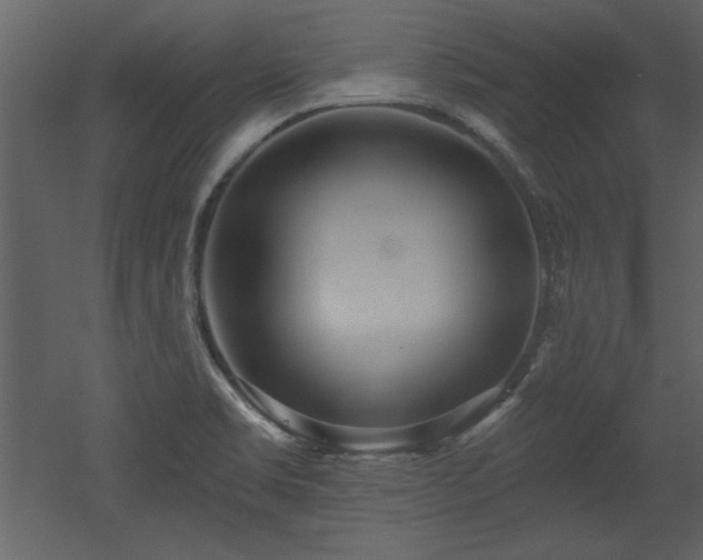 X0000052981469200507081110