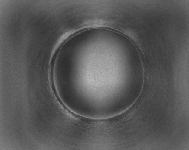 X0000052981472200507081110