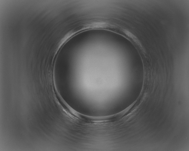 X0000052981473200507081110
