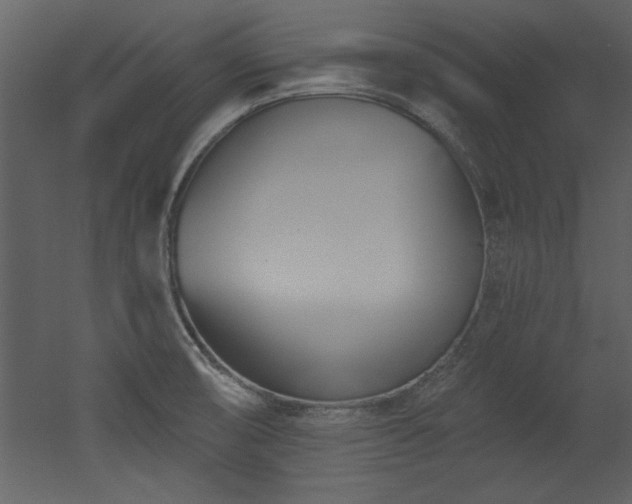 X0000052981474200507081110
