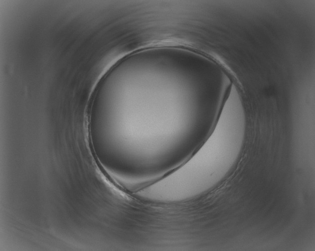 X0000052981476200507081110