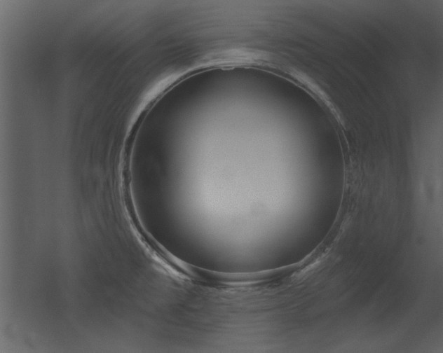 X0000052981477200507081110