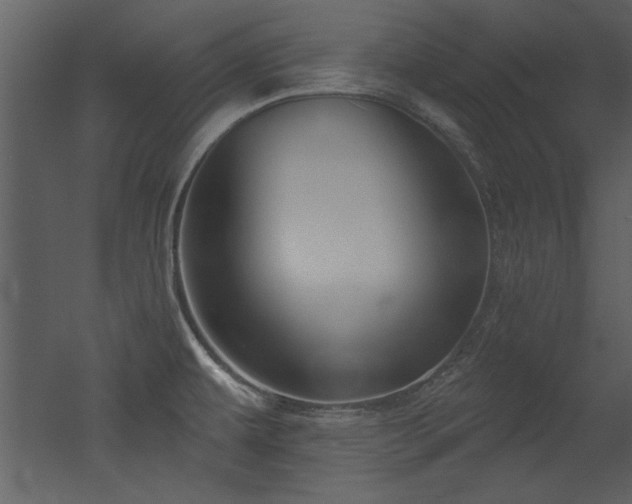 X0000052981479200507081109