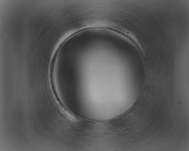 X0000052981480200507081109