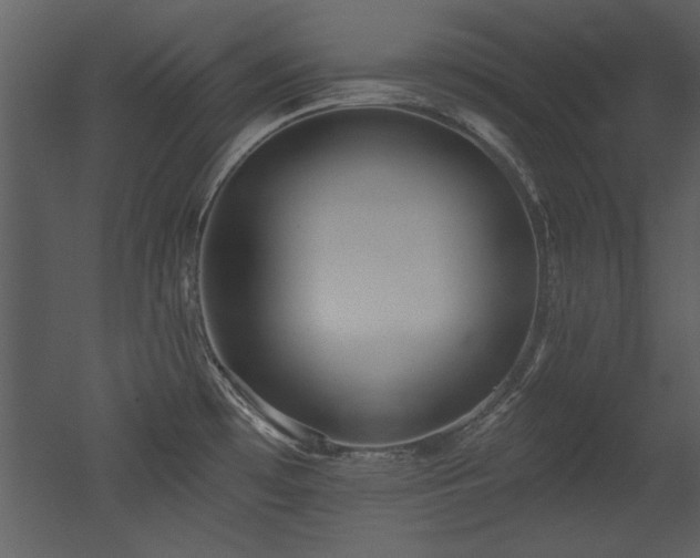 X0000052981481200507081109