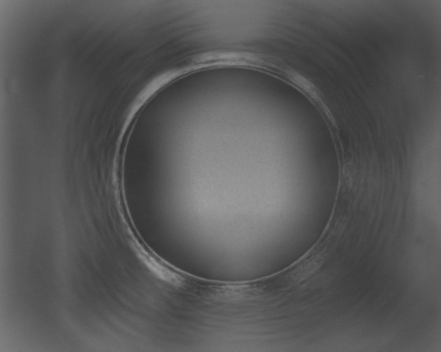 X0000052981482200507081109