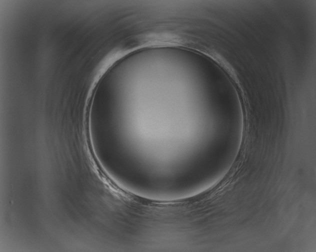 X0000052981488200507081109