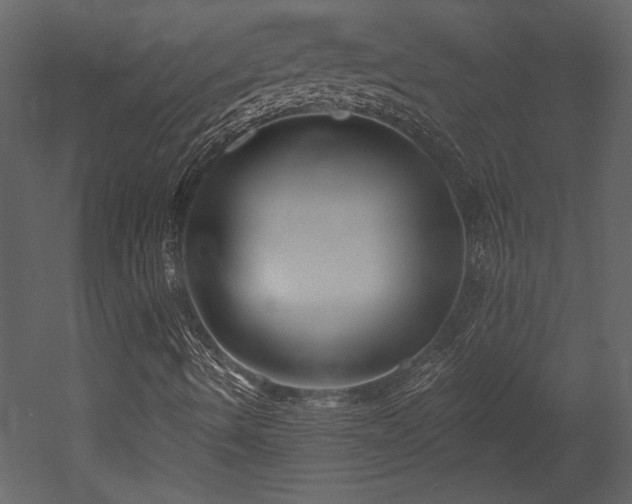 X0000052981490200507081109