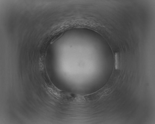 X0000052981491200507081109