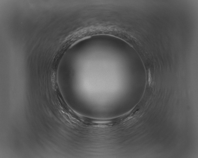 X0000052981492200507081109