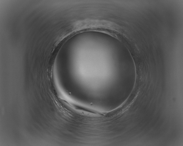 X0000052981497200507081109