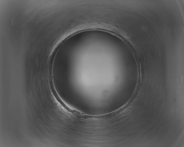 X0000052981500200507081109