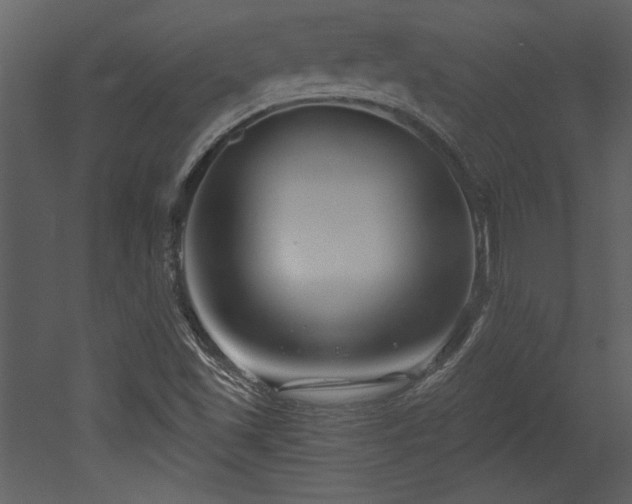 X0000052981501200507081109